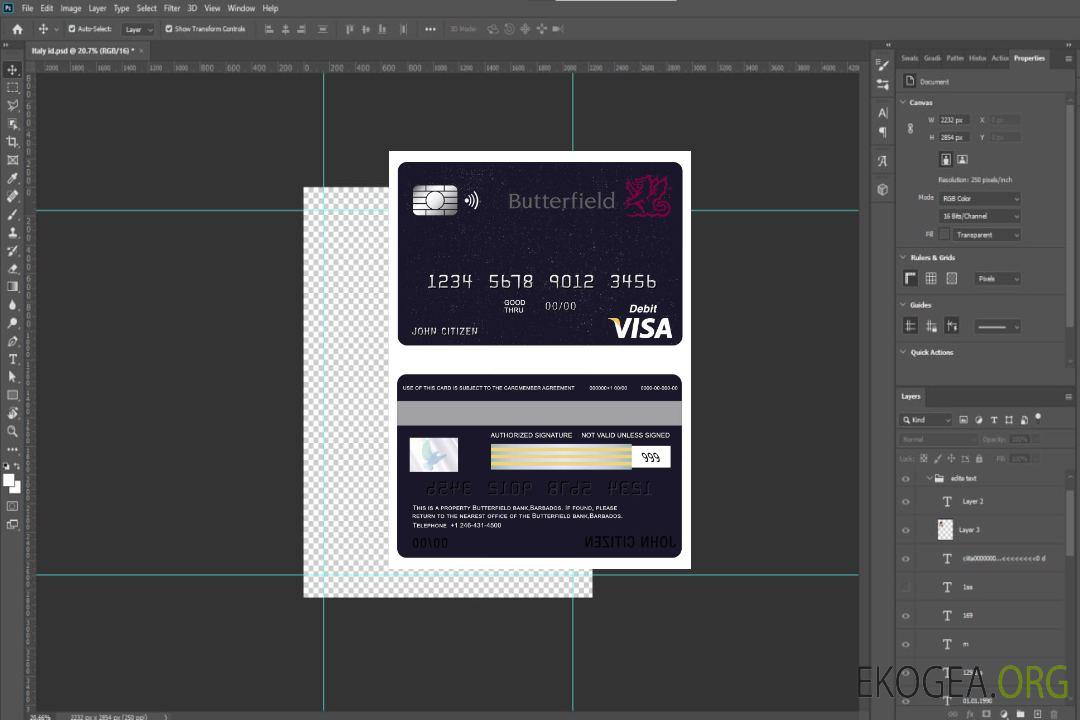 Carte visa bancaire Butterfield de la Barbade template Carte visa bancaire Butterfield de la Barbade template